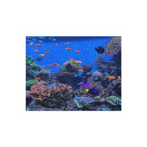 Coral Reef Puzzle